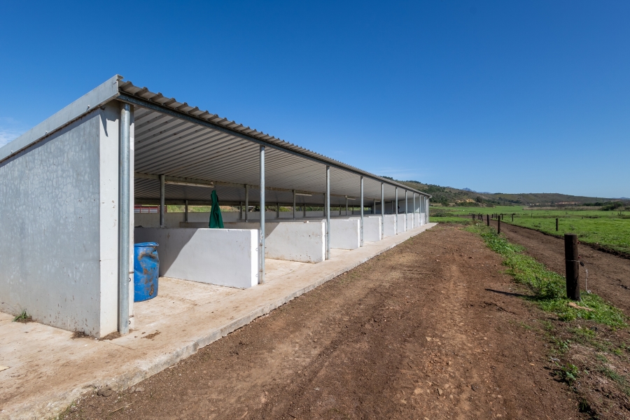 0 Bedroom Property for Sale in Kareedouw Eastern Cape